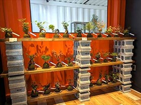KOUKISIN店内
